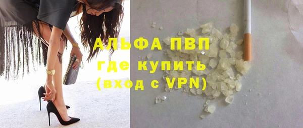 прущие крисы Аркадак