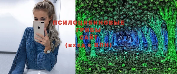 шишки Баксан
