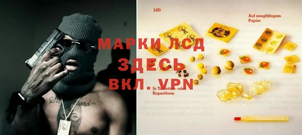 хмурый Арсеньев