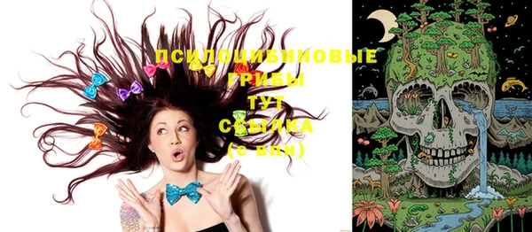 прущие крисы Балахна