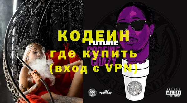 хмурый Арсеньев