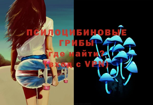 хмурый Арсеньев