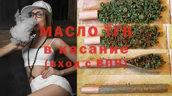 хмурый Арсеньев