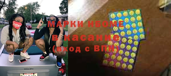 хмурый Арсеньев