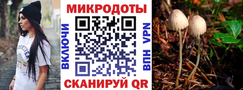как найти закладки  Белая Холуница  гидра как войти  Псилоцибиновые грибы мухоморы 
